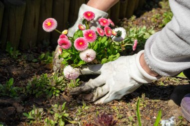 Baharda çiçek ekiyorum..