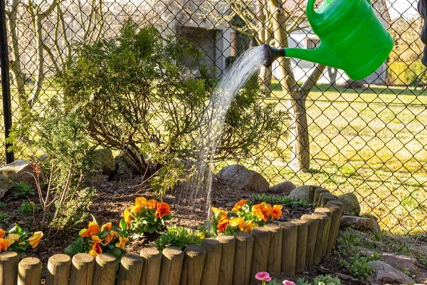 Bevattning Blommor Med Vattning Burkar — Stockfoto