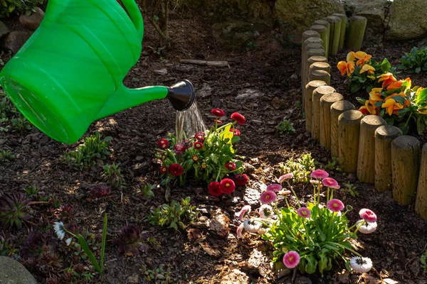 Bevattning Blommor Med Vattning Burkar — Stockfoto