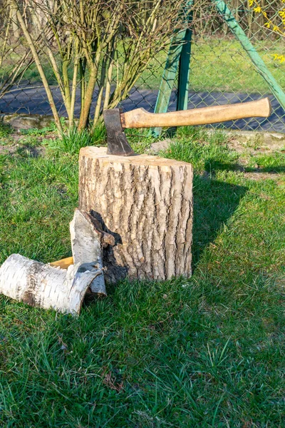 Рубка Дерева Курить Топором — стоковое фото