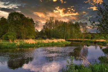Polonya 'da bahar günü Gizemli Nehir Mezarlığı