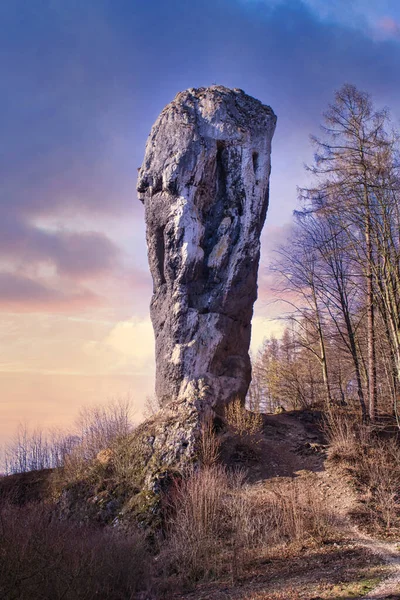 Rocas Castillo Del Parque Nacional Ojcow Polonia 2020 — Foto de Stock