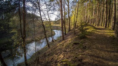 Vahşi nehir boyunca bir yürüyüş Grabia, Polonya