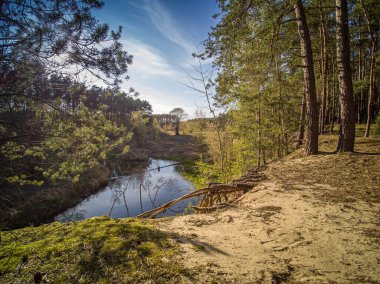 Vahşi nehir boyunca bir yürüyüş Grabia, Polonya