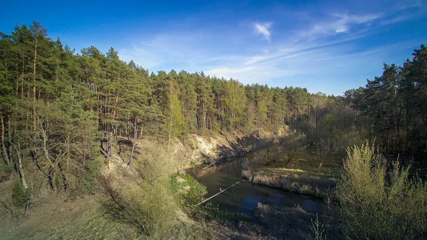 Procházka Divoké Řece Grabia Polsko — Stock fotografie