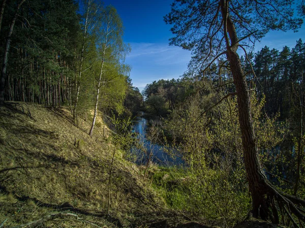 Прогулянка Дикою Річкою Грабія Польща — стокове фото