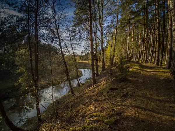 Прогулянка Дикою Річкою Грабія Польща — стокове фото