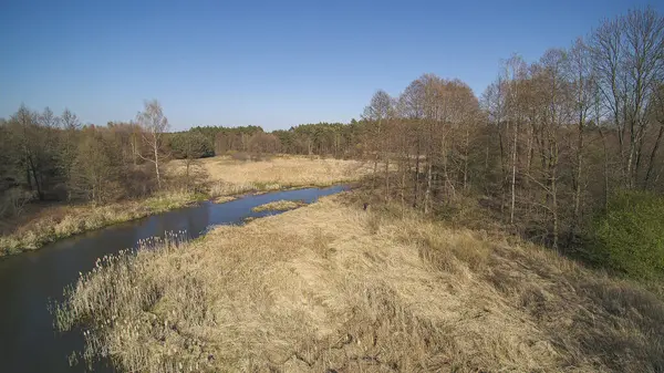 Vol Dessus Une Petite Rivière Sauvage Pologne — Photo