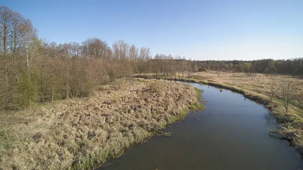 Vol Dessus Une Petite Rivière Sauvage Pologne — Photo