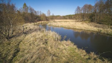 Polonya 'da küçük, vahşi bir nehrin üzerinden uçuyor..