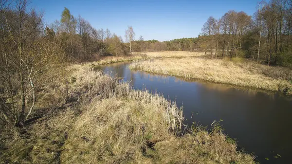 Vol Dessus Une Petite Rivière Sauvage Pologne — Photo