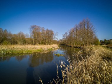 Polonya 'da küçük, vahşi bir nehrin üzerinden uçuyor..