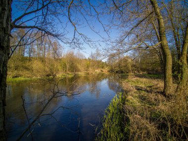 Polonya 'da küçük, vahşi bir nehrin üzerinden uçuyor..