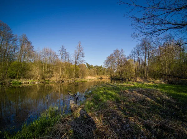 Vol Dessus Une Petite Rivière Sauvage Pologne — Photo