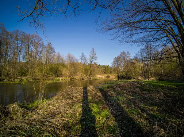 Voo Sobre Pequeno Rio Selvagem Polônia — Fotografia de Stock