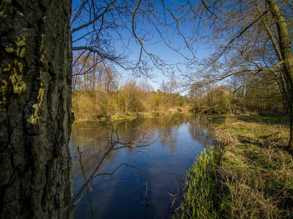 ポーランドの小さな野生の川を飛ぶ — ストック写真