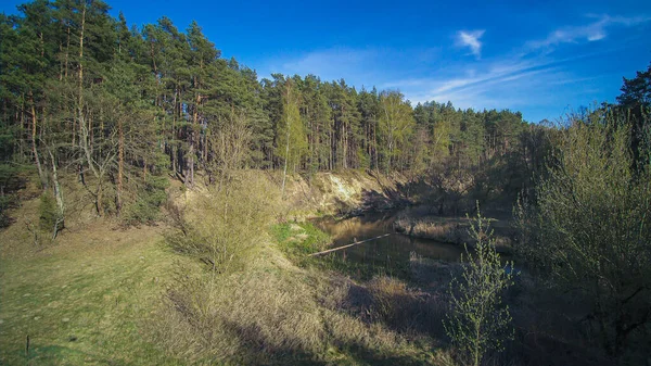 Une Promenade Long Rivière Sauvage Grabia Pologne — Photo