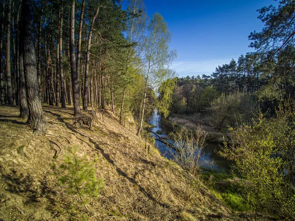A walk along the wild river Grabia, Poland