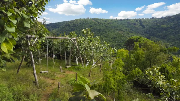 Yeşiller boş hızıyla.