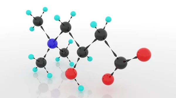 L-Carnitine, Carnitine, Levocarnitine. 3d.