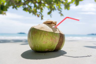 Okyanusta pipetli hindistan cevizi. Tropik meyve. Beyaz kumda hindistan cevizi. Duvar Kağıdı.