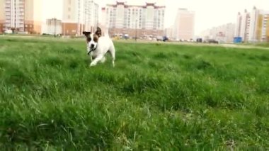 Jack ishal yavaş çekimde dağınık