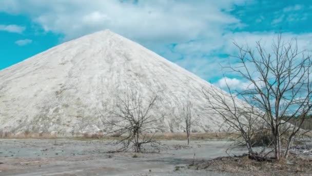 Chemisch afval ligt onder de zon — Stockvideo