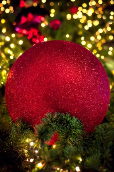 Κόκκινη Χριστουγεννιάτικη Μπάλα Χριστουγεννιάτικη Διακόσμηση Χριστουγεννιάτικο Δέντρο Ευτυχισμένος Καινούριος Χρόνος Εικόνα Αρχείου