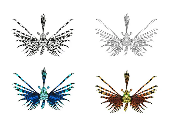 Lionfish. Lionfish çizim. Bu tehlikeli balık içinde birkaç değişik.