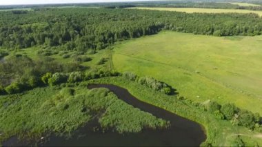 Hava karanlık bir göl yakınında büyük bir çayır çekim video. Kamera yavaş yavaş aşağı gider. Uzaktan tarafından bir at çalışır.