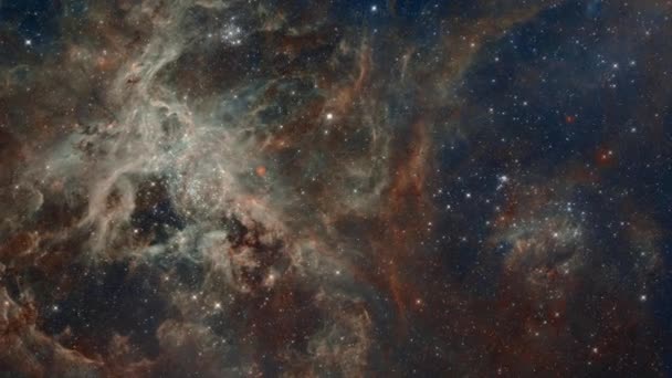 Bir Yıldız Alanı Içine Uzay Uçuşu Atbaşı Bulutsusu Yıldız Alanı — Stok video