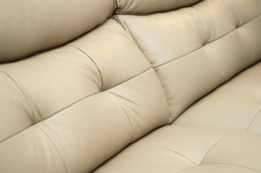 Sarı deri kanepe, düğmelerle kapatın. Mobilya galerisi fotoğrafçılığı