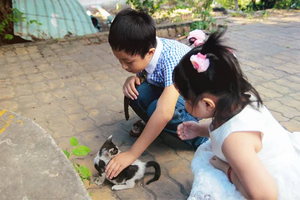 Brother and sister having fun and playing with little cat in the park — Stock Photo, Image