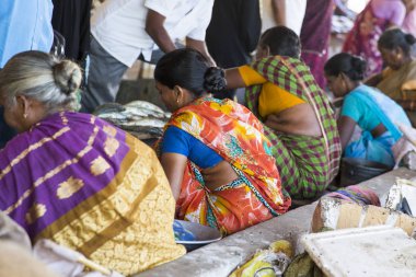 Editoryal açıklayıcı resim. Fishs Pazar Hindistan'da