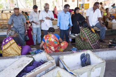 Editoryal açıklayıcı resim. Fishs Pazar Hindistan'da