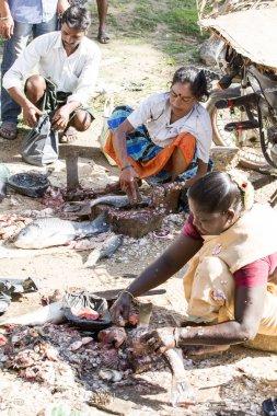 Editoryal açıklayıcı resim. Fishs Pazar Hindistan'da