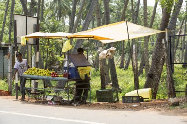 Editoryal açıklayıcı resim. Meyve ve sebze dükkanı