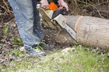 Elektrikli testereli adam ağacı kesiyor.