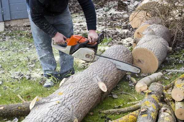 Man med motorsåg skär trädet — Stockfoto