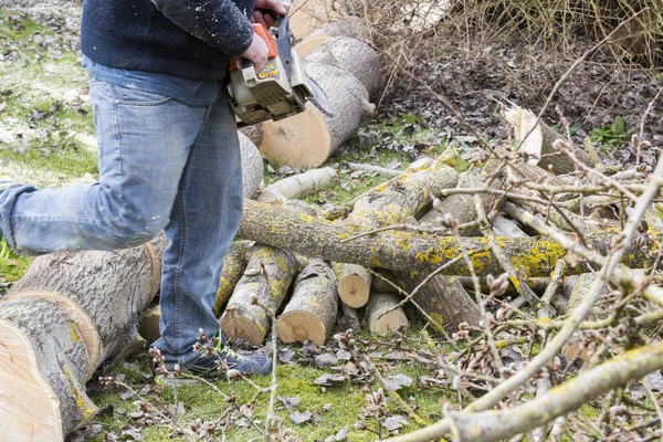 Mann mit Kettensäge sägt Baum um — Stockfoto