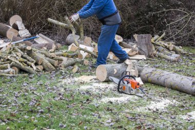 Bahçede kesim sırasında düşen bir ağaç