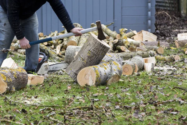 Un árbol cayendo en el jardín mientras está siendo cortado — Foto de Stock