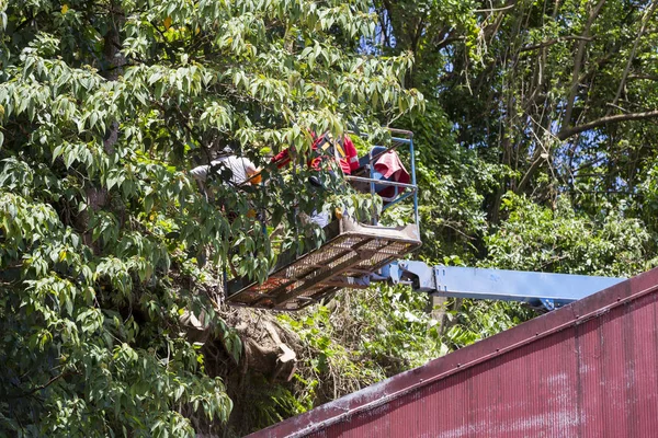 Puner i boom maskinhuset — Stockfoto