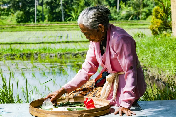 Belgesel yayın görüntü. Kimliği belirsiz kadın pirinç tarlaları