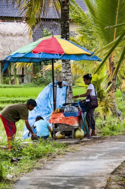 Belgesel yayın görüntü. Kimliği belirsiz kadın pirinç tarlaları