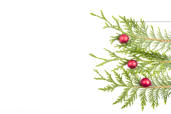 Christmas tree branch and red ball — Stock Photo, Image