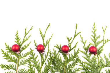 Noel ağacı dalı ve kırmızı top