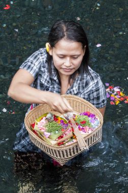 Belgesel yayın görüntü. Kutsal bahar su Tirta Empul Hindu tapınağı, Bali Endonezya