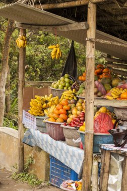 Organik meyve pazarı köydeki yakın çekim