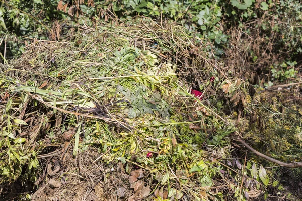 花园中新鲜的生物废物和堆肥 — 图库照片